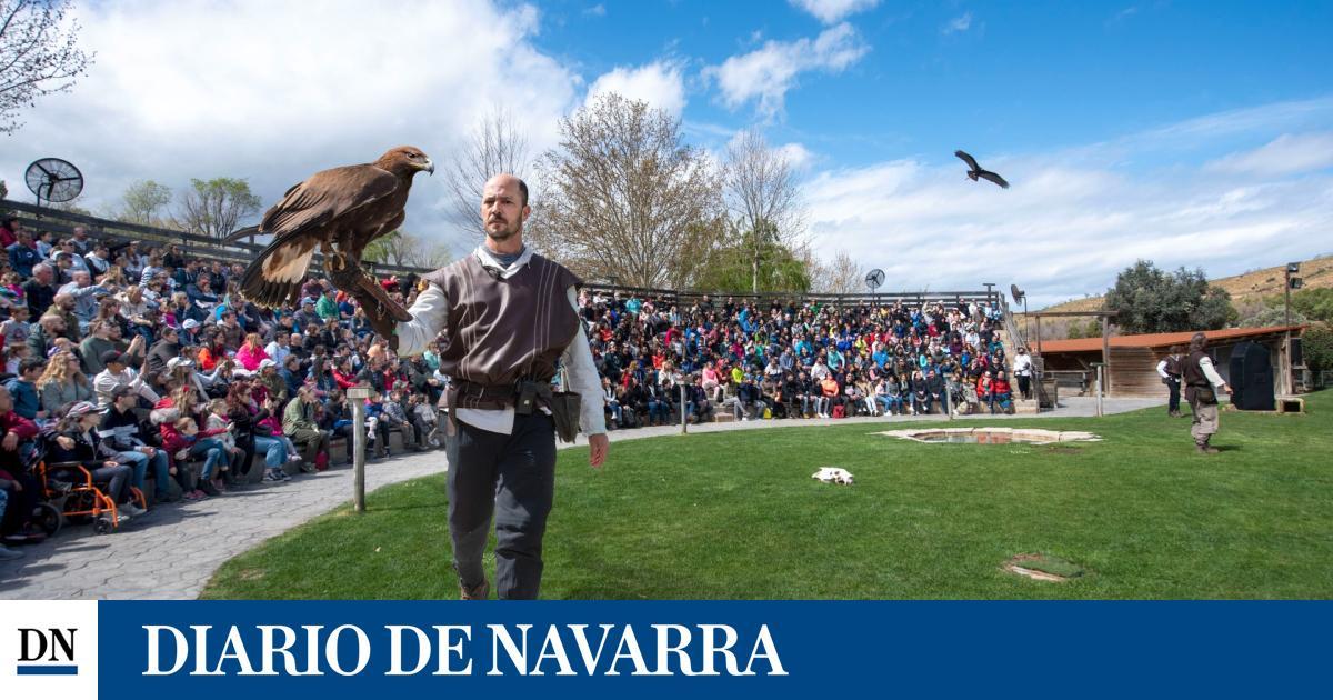 Qué ver y hacer hoy en Pamplona y Navarra diariodenavarra.es/noticias/cultu…
