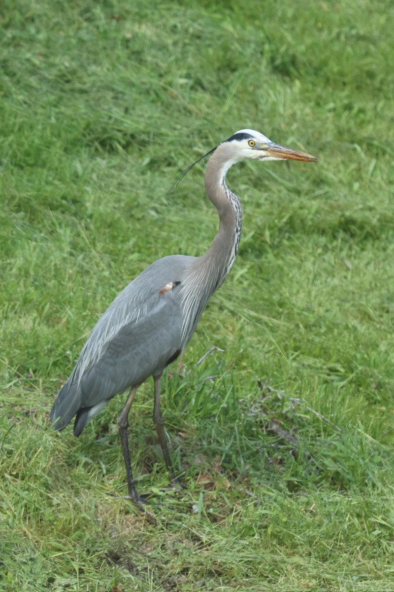 One success strategy:

Excellence and kindness. 

You need to do excellent work and you need to be the kind of person that people want to work with.