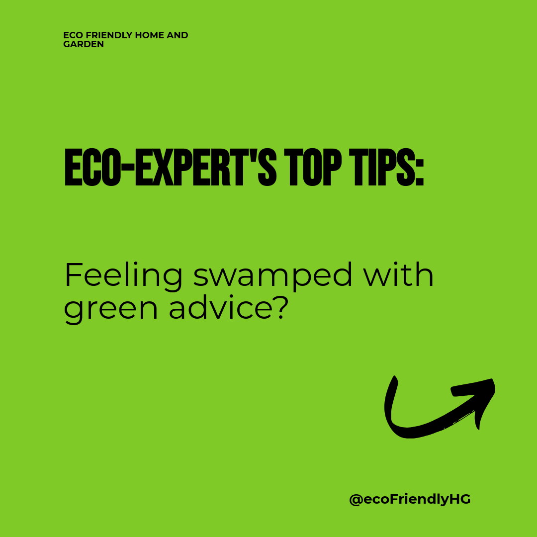 Navigating eco-friendly advice can be like finding a needle in a haystack. 🌾 Stick to your green goals and remember, every small step counts! 🌱 Join our newsletter for sustainability guides and eco tips. Share if you believe in a greener tomorrow! 📬 #EcoLiving #SustainableHome