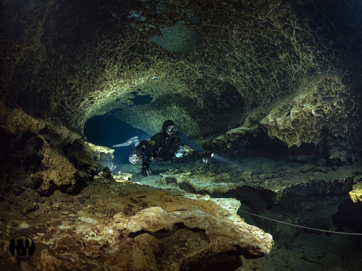 divesoft's tweet image. Liberty (noun): the power to do or choose what you want to.
CCR Liberty (diving synonym): the CCR unit that provides you with the power to dive where you want to, the way you want to.

photo: Marissa Eckert
diver: Joseph Jonathan Bosquez
location: Ginnie Springs, Florida / USA