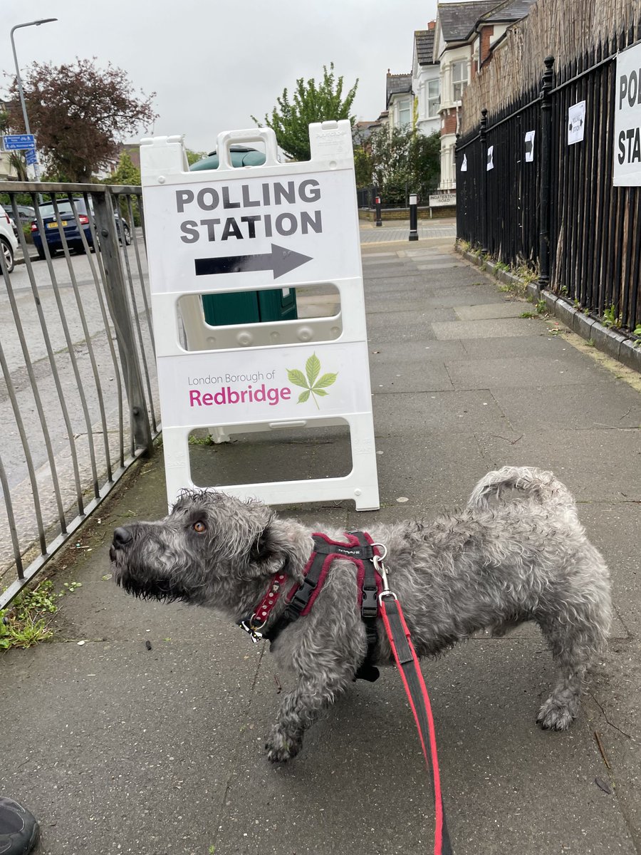 I know I just got up & pulled some clothes on at 6am & need to shower & do my hair & makeup but getting a ‘Good morning, sir’ from the man checking me in at the polling station was a bit much. Here’s Feargal, a bit wet but looking better than me for #dogsatpollingstations
