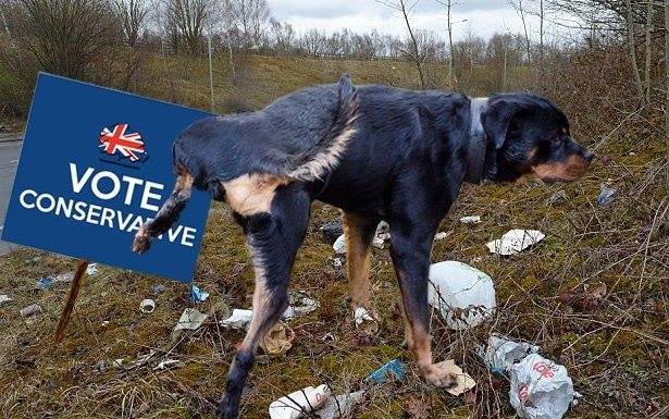 Don’t have a dog myself, so will this do? #ToriesOut665 #LocalElections2024 #LondonMayorElection #dogsatpollingstations