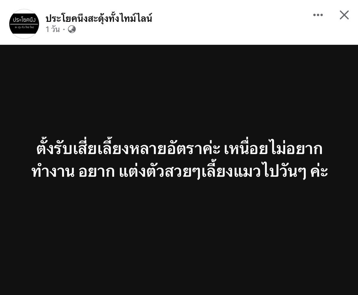 ฮ่าฮ่าฮ่า ขำเล่น แต่เอาจริง