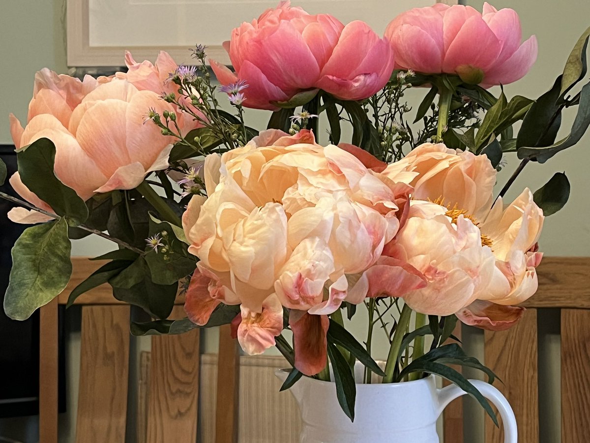 252jane's tweet photo. Even in their final stages these peonies from @BloomandWild are glorious! These 5 have been long lasting (6 days today), but did wonder if the last 2 were ever going to open!! 💤 https://t.co/jnWGYd8gnZ
