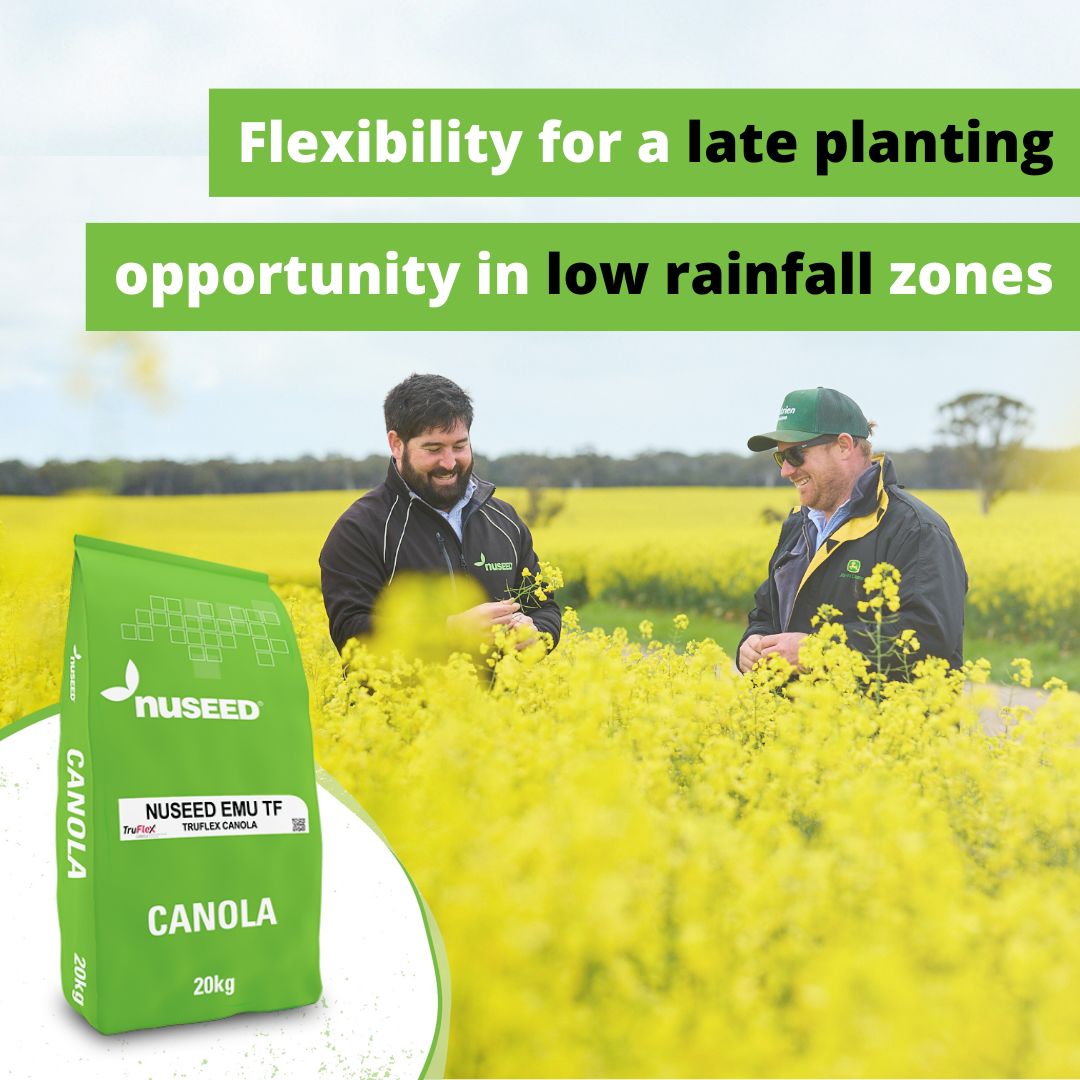 NufarmSeedsAU's tweet image. 🌱Need quality #canola seed for late planting?

#Nuseed Emu TruFlex® hybrid canola delivers early maturation &amp;amp; high yields in tough, dry conditions.

Get peace of mind &amp;amp; flexibility for later sowing in lower rainfall regions 👉 bit.ly/NuseedEmuTF

#NuseedAustralia