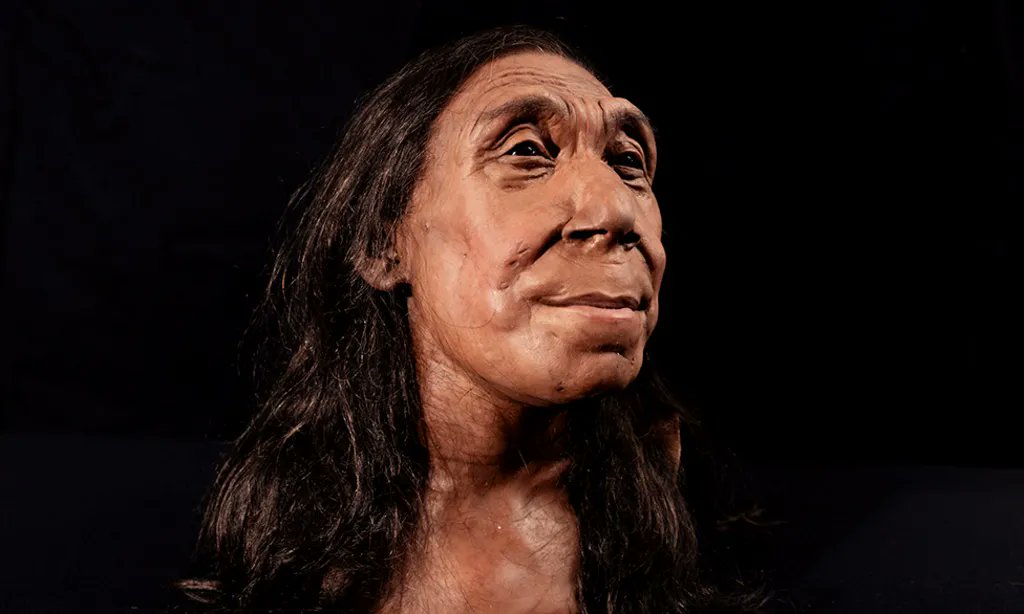 Face of 75,000 year-old Neanderthal woman revealed - What would it be like to meet one of our closest human relatives from 75,000 years ago in the flesh? Scientists have produced a remarkable reconstruction of what a Neanderthal woman would have looked like when she was alive.…