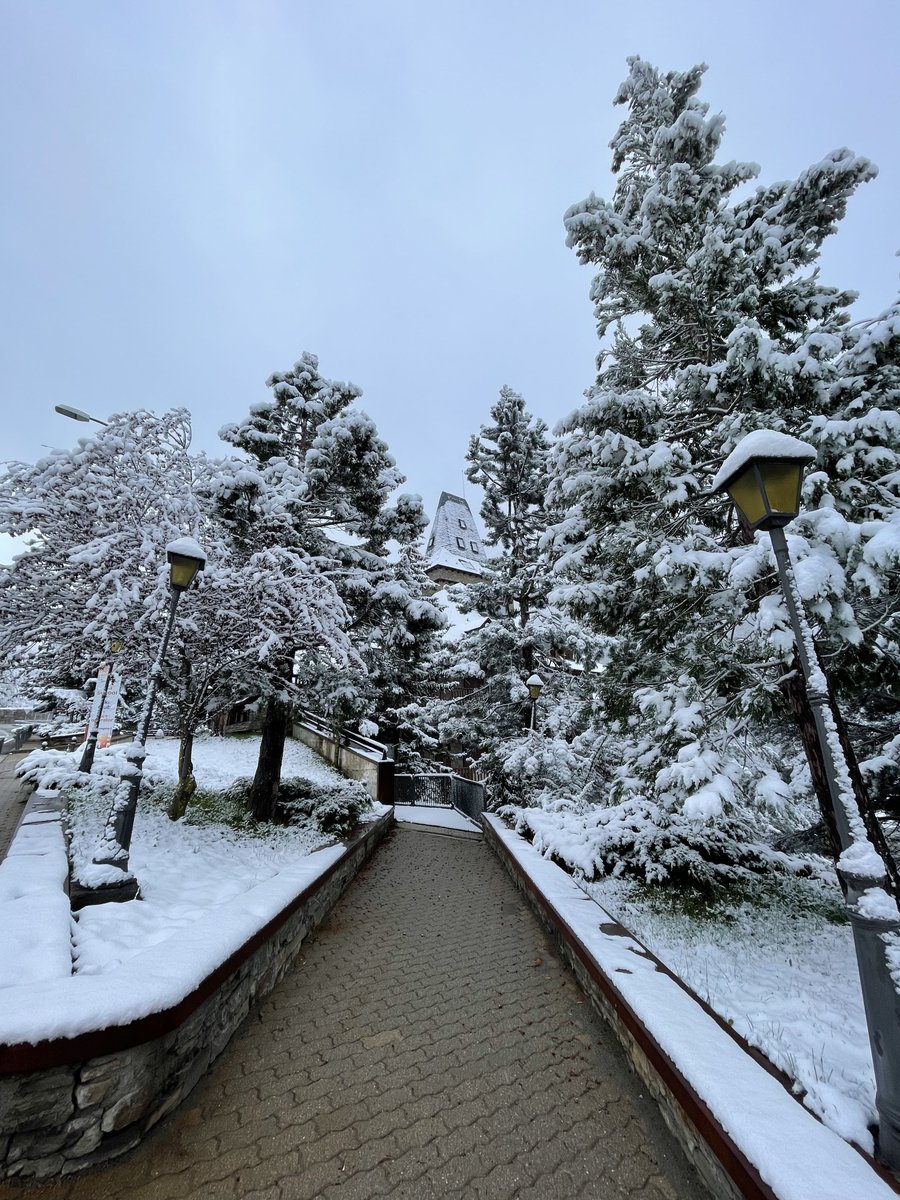 Héctor Velasco tweet media