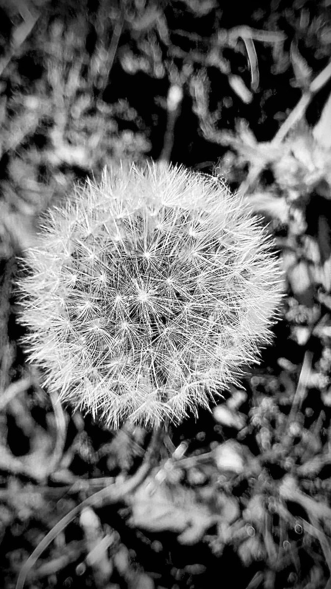 #Stupore_Lucano #basilicata #flair_bw #bnw_captures #bnw_life  #bnwmood #bnw_planet #blackandwhiteisworththefight #streetphotography #streetphoto #photostreet #bnw_street #ig_street #landscape_captures  #sunset_vision  #way2ill #urbanromantix #thegreatoutdoors #guardiancities