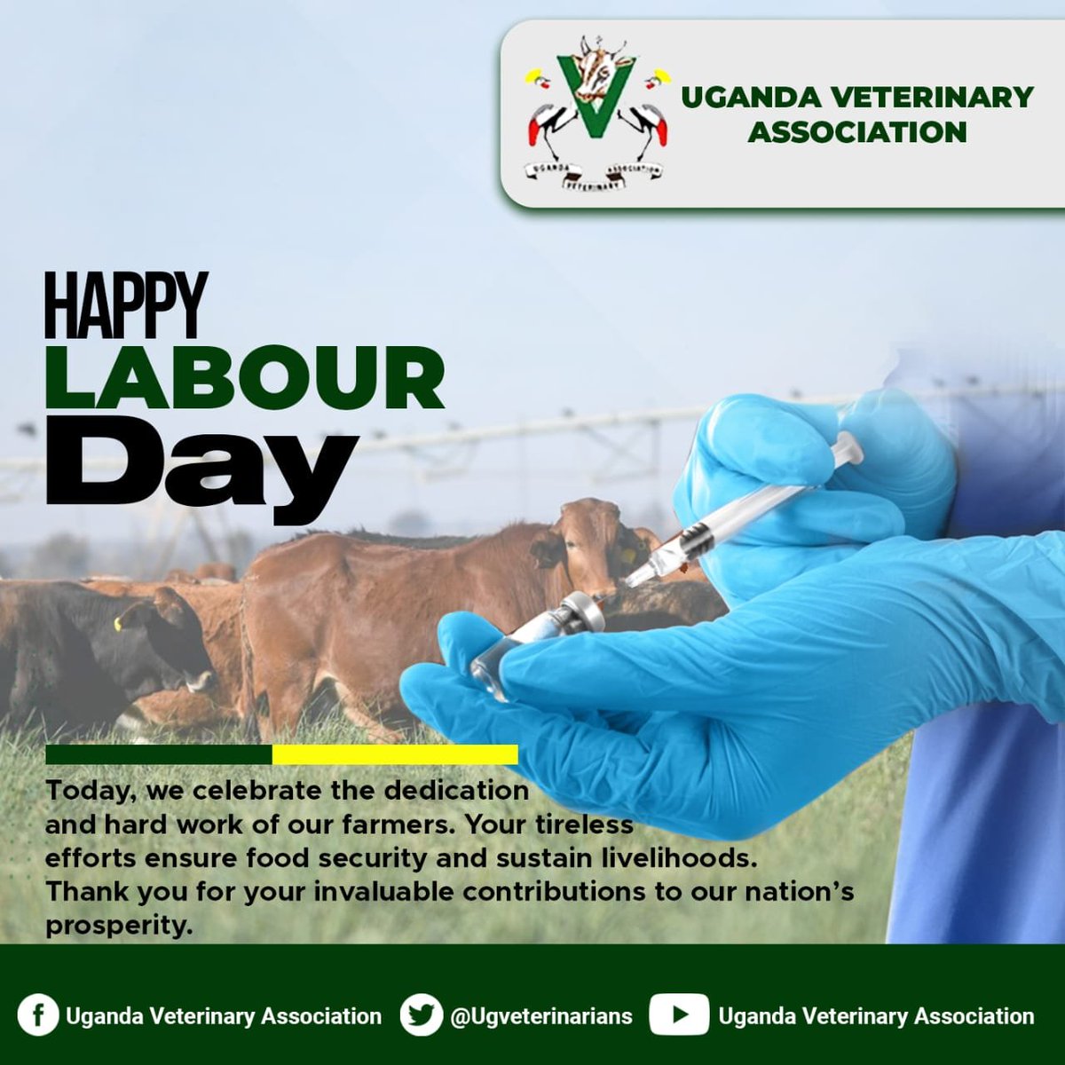 Uganda Veterinary Association (UVA) (@Ugveterinarians) on Twitter photo 2024-05-02 06:33:40