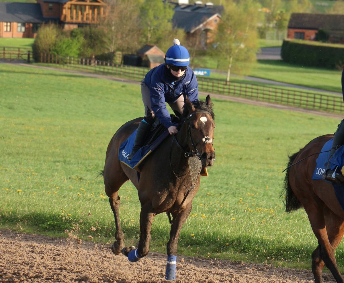 🤞Rose Donnelly (3:27) will race at @ayrracecourse this afternoon. 
 
She will be ridden by Danny Tudhope from stall 3. 
 
@MHS_HorseRacing #TeamMHS #MORC