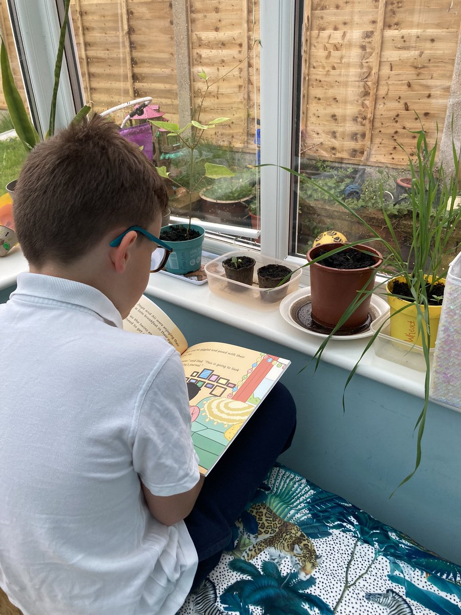 Looking after his sunflower by reading it a story- let’s hope it works. <a href="/HogarthPS/">Hogarth Primary School</a>