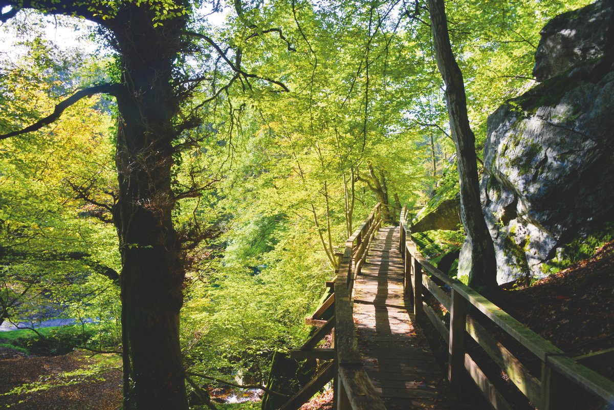 deinsauerland's tweet photo. Das #Bilsteintal bei #Warstein punktet mit der faszinierenden #Tropfsteinhöhle, dem #Tierpark und jeder Menge #Natur. Da vergeht die Zeit wie im Fluge. Besonderer Clou: der Eintritt ist frei!

Foto: Fotostudio Tölle https://t.co/YDyKNY2xgd