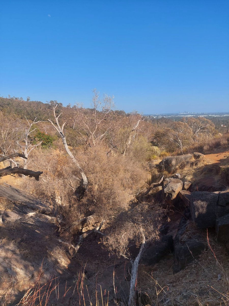 Whistlepipe Gully in the Perth Hills, Western Australia May 2022 (left) v 30 April 2024 (right) after Perth’s driest 6 months on record. My favourite place being destroyed by climate change. 

More news today about WA’s South West forests collapsing: smh.com.au/national/weste…