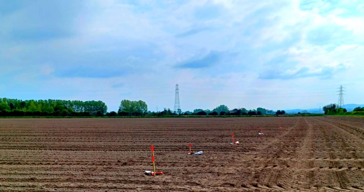 Our Chester Maize Demo Site was drilled yesterday - many leading varieties established into great conditions! Keep an eye out for updates throughout the season from all of the Agrii Maize Demo Sites throughout the UK!! 📷 Sophie Dillon