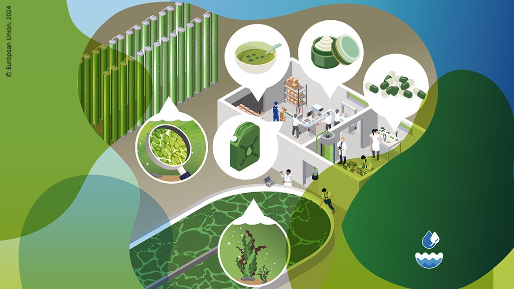 🌱#Algae innovation: Sustainable alternatives emerging from European waters! Responding to #ClimateChange, algae offer a sustainable means to deliver endless number of valuable products. 1⃣1⃣ #EUFunded projects show the potential of algae production. 👉 europa.eu/!NpQXgk