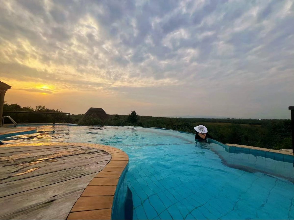 Enjoying a morning at Buffalo Safari Lodge in Queen Elizabeth National Park, immersing yourself in the tranquility of the pool & allowing the beauty of the surrounding wilderness to melt away your worries.

Travel with #MangoSafaris Uganda
Book with us now:mangosafarisug.com