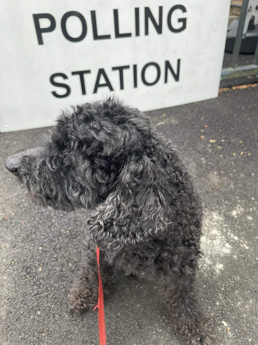 We’re off to an early one with our #DogsInPollingStations - and Archie says don’t forget your ID!