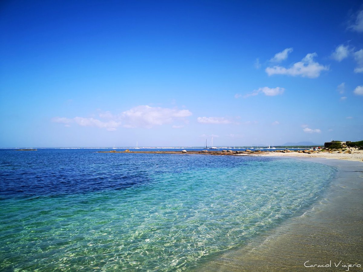 🌴Descubre #Mallorca este verano con esta ruta que recorre el sur de la isla con playas y calas de ensueño 🌴 🌊👇 caracolviajero.com.es/blog/calas-bon…