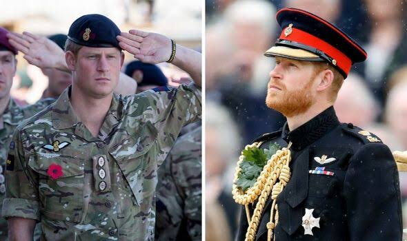 'Just before Remembrance Day, I’d asked the Palace, if someone could lay a wreath for me at Cenotaph, since, of course, I couldn’t be there. REQUEST DENIED. In that case, I said, could a wreath be laid somewhere else in Britain on my behalf? REQUEST DENIED.' -Prince Harry
#Spare