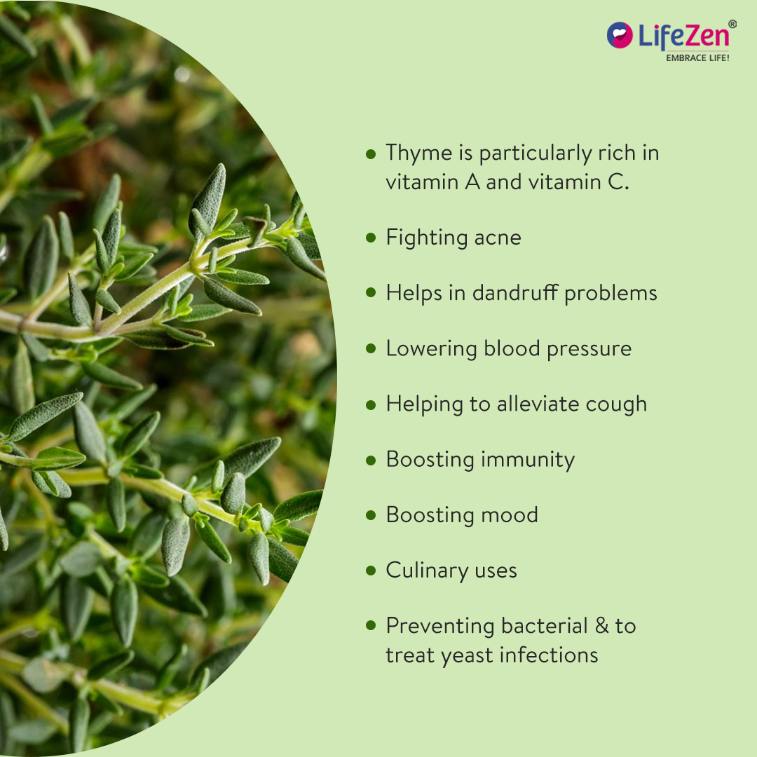 In addition to being used as medicine, the flowers, leaves, and oil are frequently used to flavour cuisine.
.
.
.
#LifezenHealthcare #Thyme #Nutrition #EssentialOil #Minerals #Vitamins #Antioxidants #SkinCare #healthcare