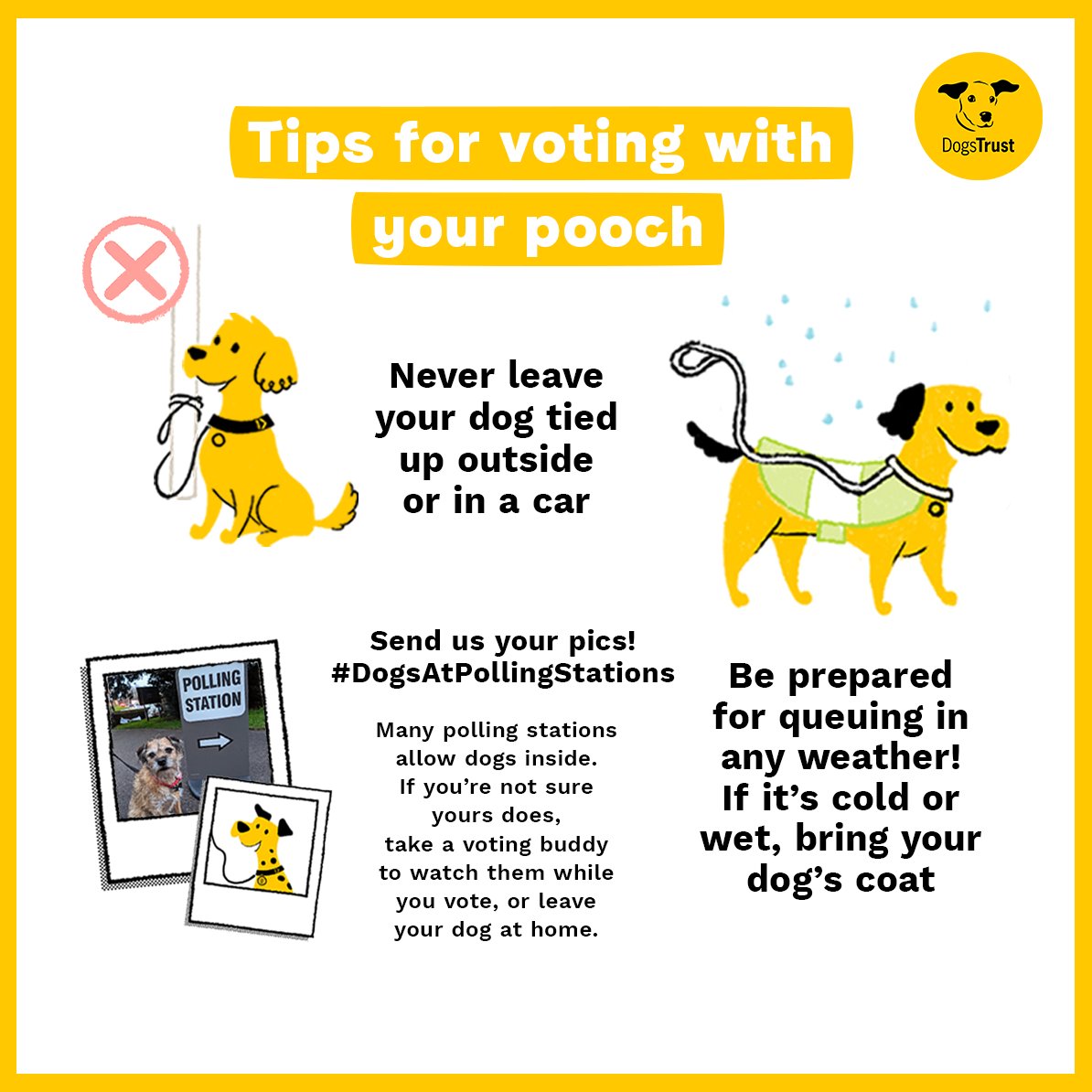 Office dog Peanut has some top tips for taking your pooch to vote today! 🐶🗳️ Share pics of your dogs at polling stations with us! #DogsAtPollingStations