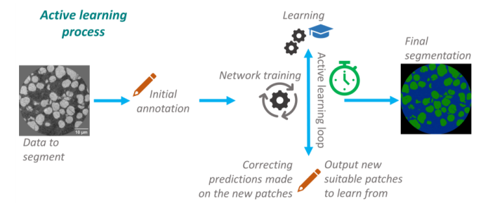 BIG-MAP has developed an active learning algorithm (KD11) to speed up the segmentation of battery electrodes. <a href="/2030Battery/">BATTERY 2030 +</a>  Capturing the complex 3D microstructures can give insight about their operational properties and dynamic changes that occur during cycling!
