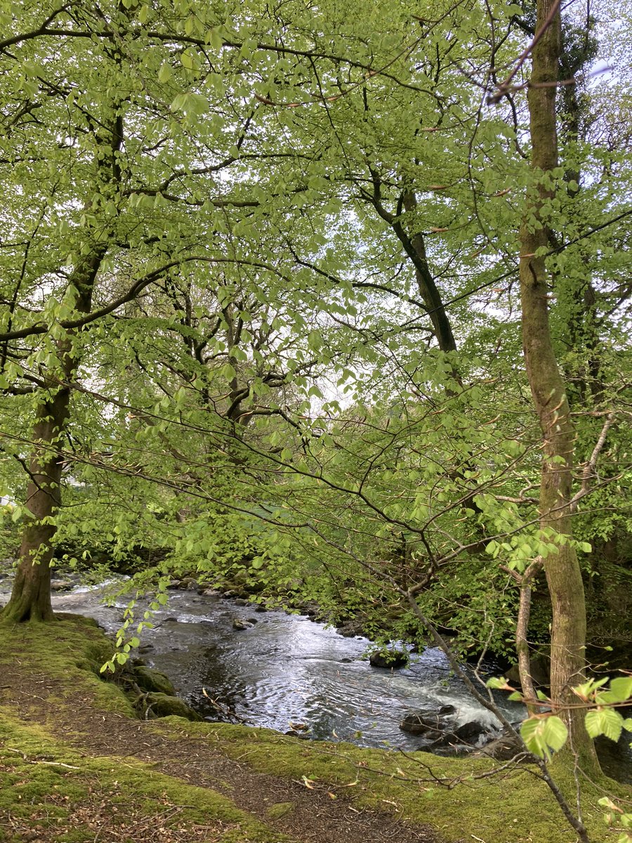 @snapperchatta Good morning Andrea😀 Lovely up near coniston too😌