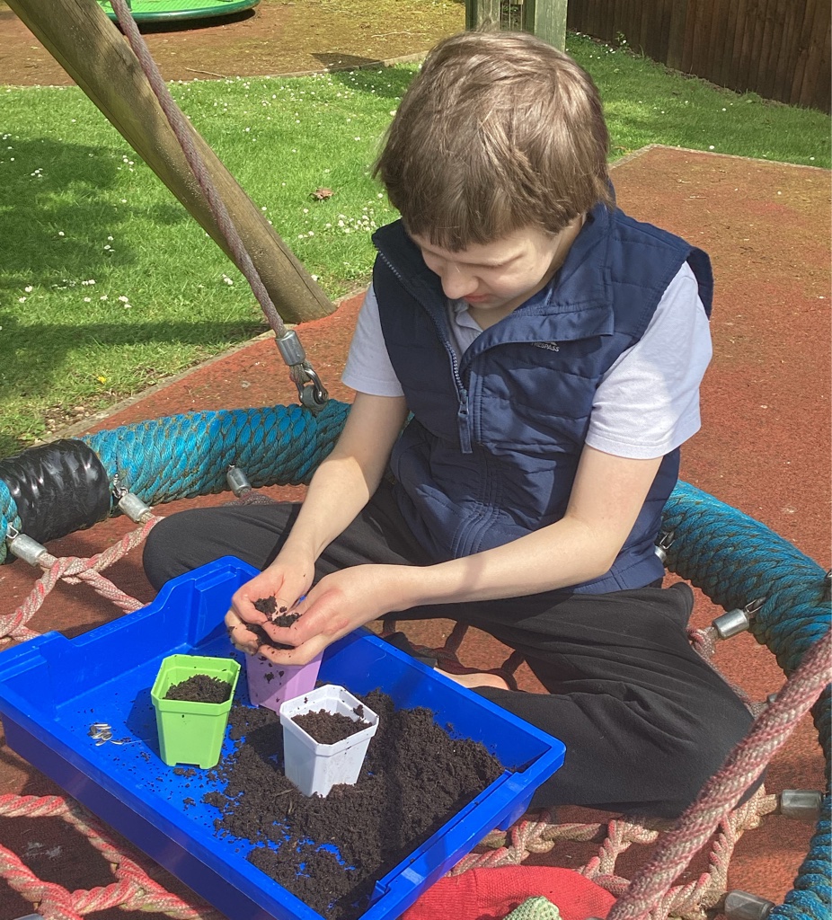 Planting sunflower seeds whilst sitting on our swing, a place of safety and familiarity #PersonCentred #WeListen #FeelSafe #OutdoorLearning