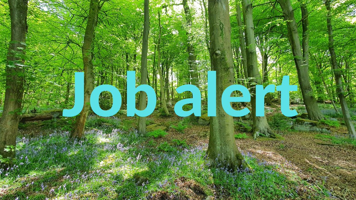 Job alert! We are #recruiting for 3 great new roles to join our woodland creation team and help us develop and deliver projects in #Yorkshire. Apply by Sunday 12 May. Full job specs and how to apply here: whiteroseforest.org/latest/