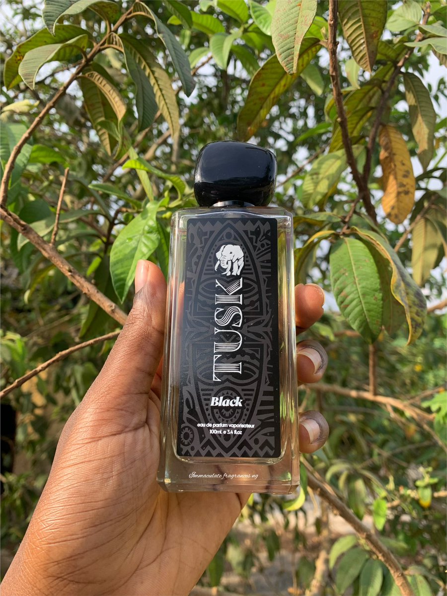A very affordable fresh, sweet and spicy perfume combo for everyday wear! Dark scudo: N18,000 Tusk black: N14,500 🏷️ N32,000 for both Nationwide Delivery @_DammyB_