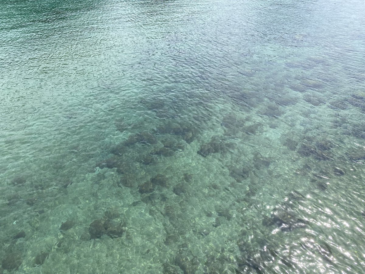 柏島

信じられるか…これ海なんだぜ。
海岸線ずっと走ってきたけど、この色はここだけ。