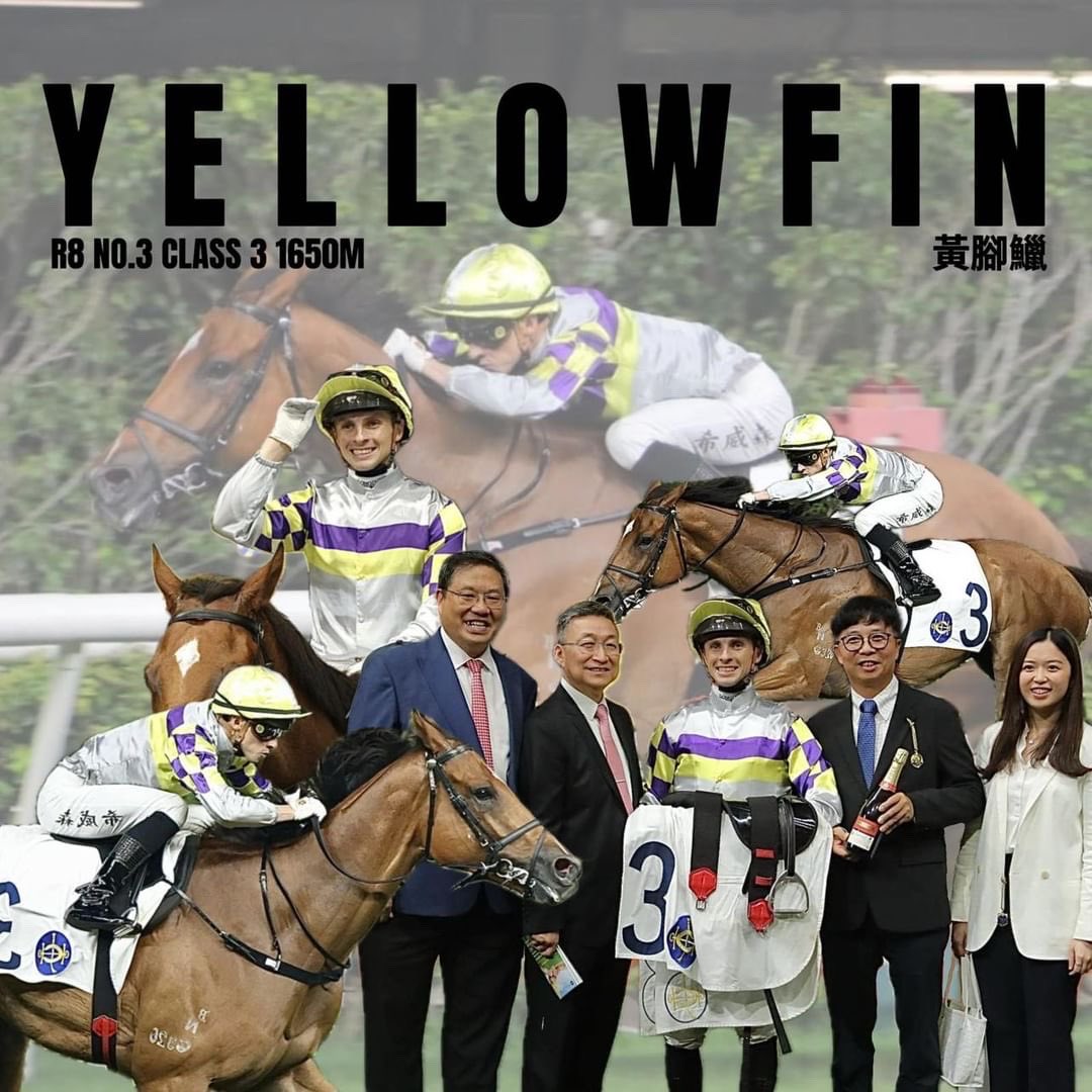 YELLOWFIN 🏆

Another win in tandem, this time at Happy Valley Racecourse!
Well done to owners Raymond Ng Wing Chiu, Choi Chi Wan & Soong Tze Man & thanks @francisluiracing for the ongoing opportunities 🥇

#happyvalley #happywednesday #winner #hkjc