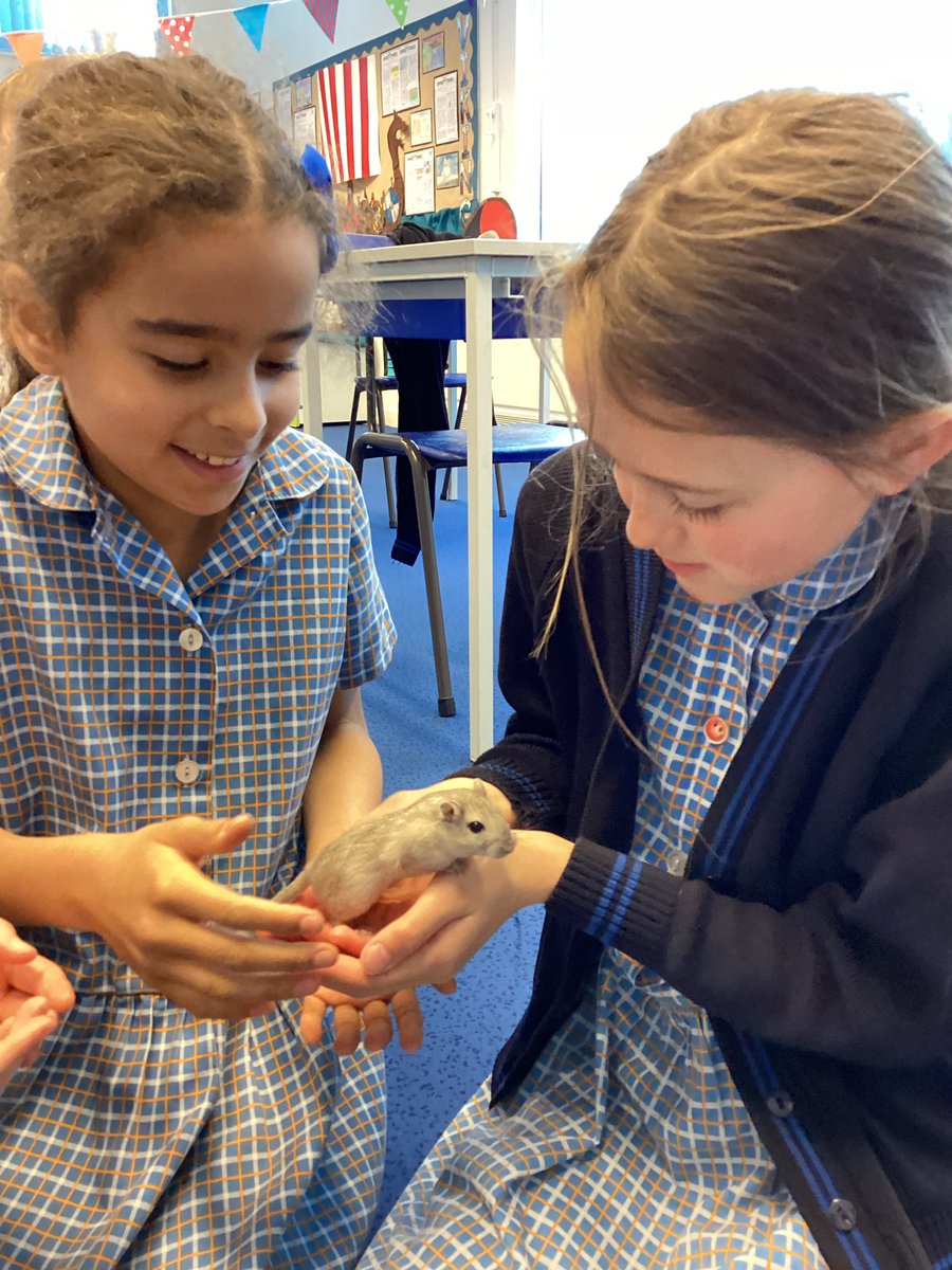 StMargs Year 4 tweet media