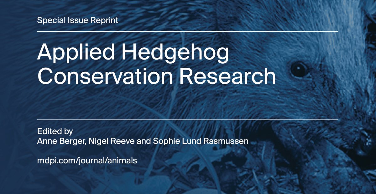 Amazing opportunity to get hold of nearly 500 pages of #hedgehog ecology research - for FREE! open.substack.com/pub/hughwarwic… thank you to @Dr_Pindsvin Anne Berger and Nigel Reeve