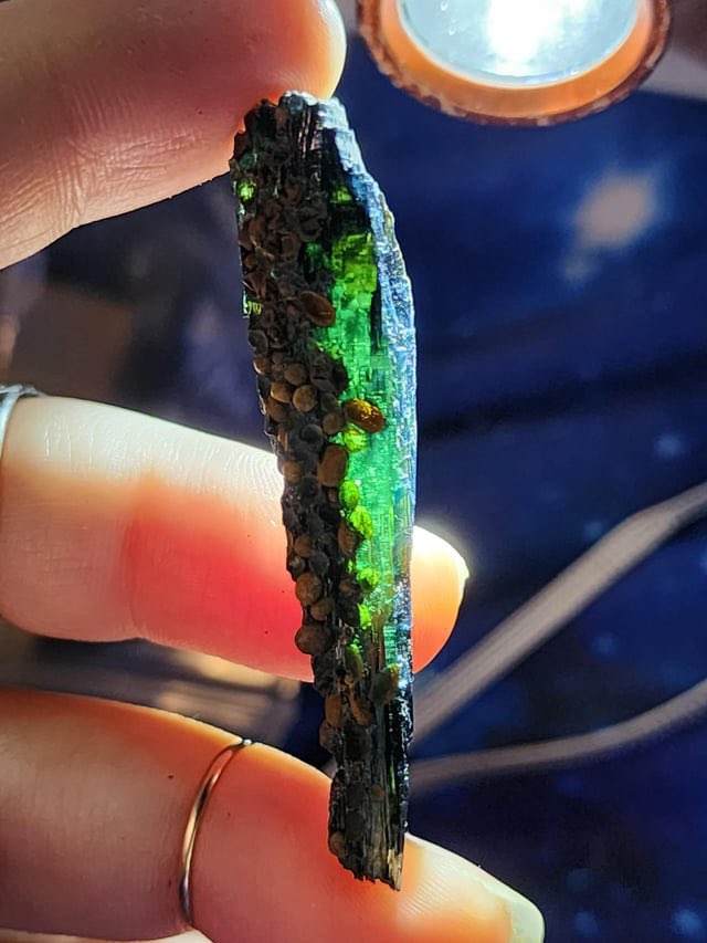 creepydotorg's tweet photo. This is Vivianite. A crystal that grows on and inside the corpse of deceased people and animals. https://t.co/Tx9CuOSUOa