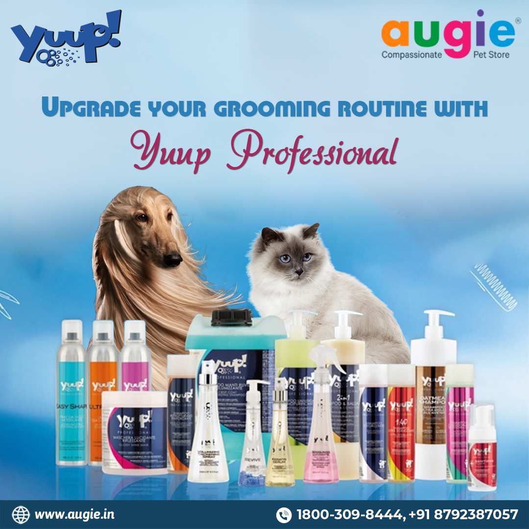 AugiePet's tweet image. 🤷‍♀️ Upgrade your grooming routine with Yuup Professional!😻🐩
.
.
.
✳️ Give your pup the pampering they deserve with high-quality #groomingproducts from Yuup! Professional. 
✳️ Their range of shampoos, conditioners, and other #groomingsupplies will help you keep your #furryfriend