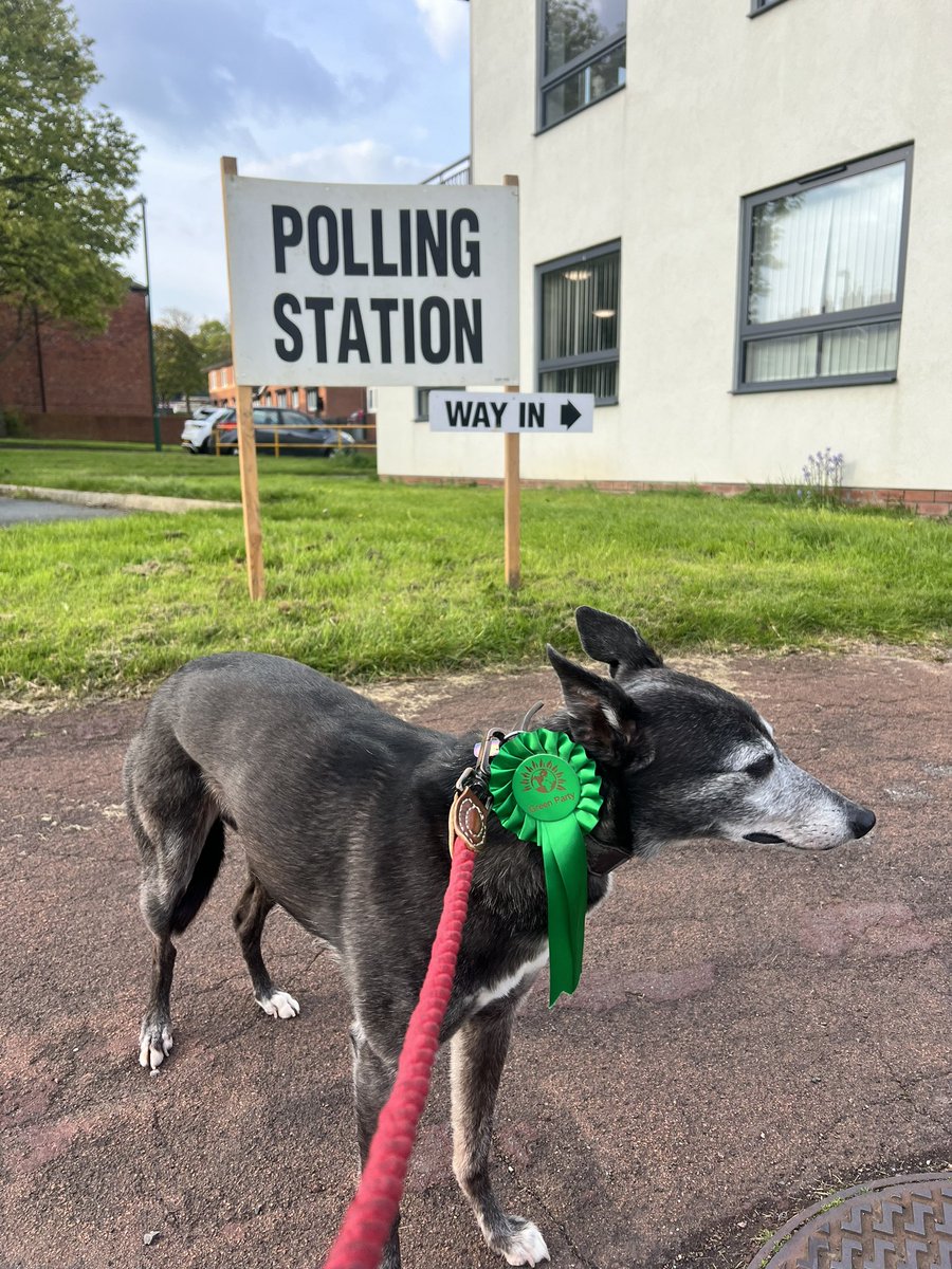 Stanley is voting for a hard-working candidate who listens and takes action on the things that are important to him. Be more Stanley. Vote Green 💚

#DogsAtPollingStations #GetGreensElected