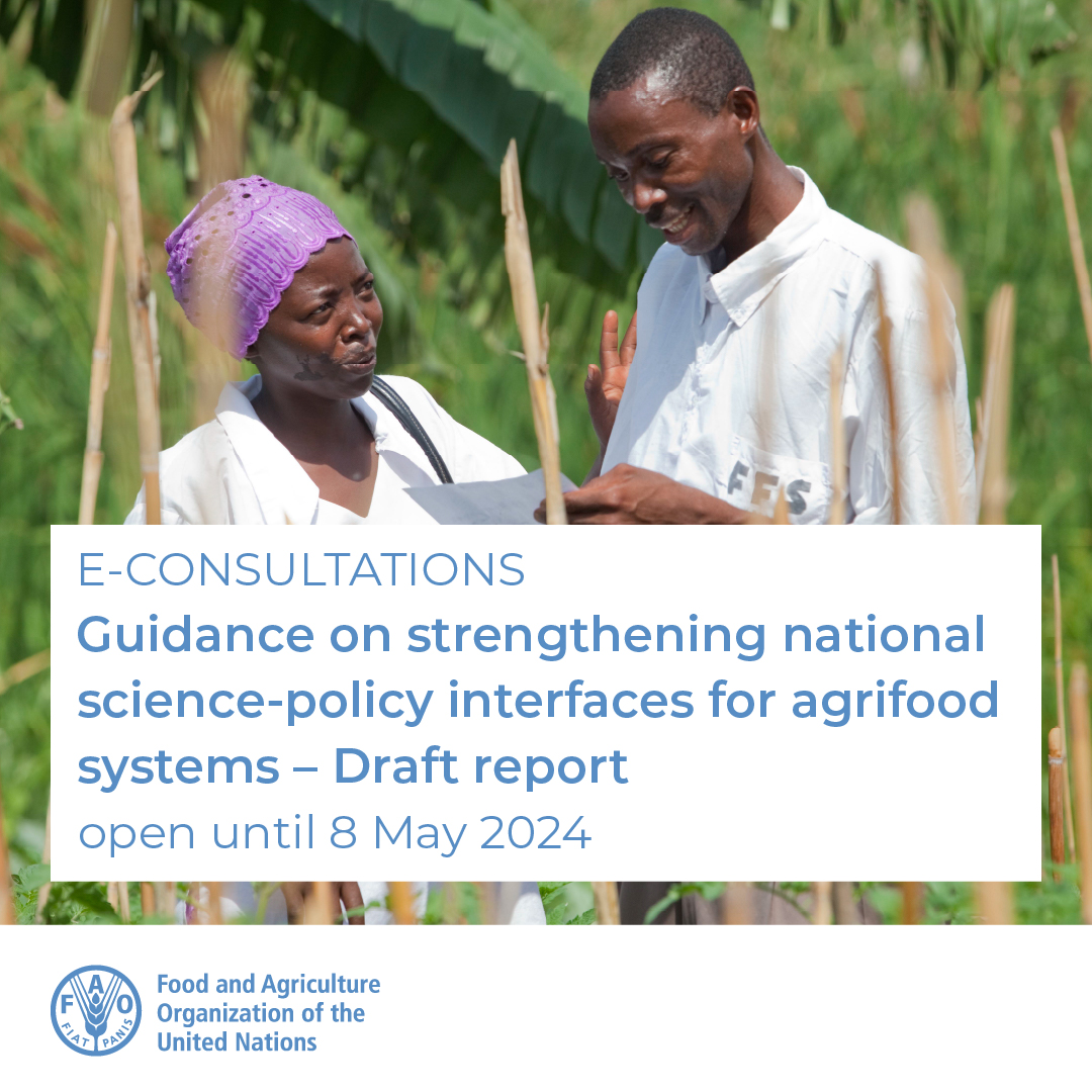 Your opinion on a draft guidance for strengthening national science-policy interfaces, aligned with the @FAO #Science and #Innovation Strategy, is important to us. Please take part in the e-consultation of the @FAOScienceChief Office. 👉fao.org/fsnforum/consu…