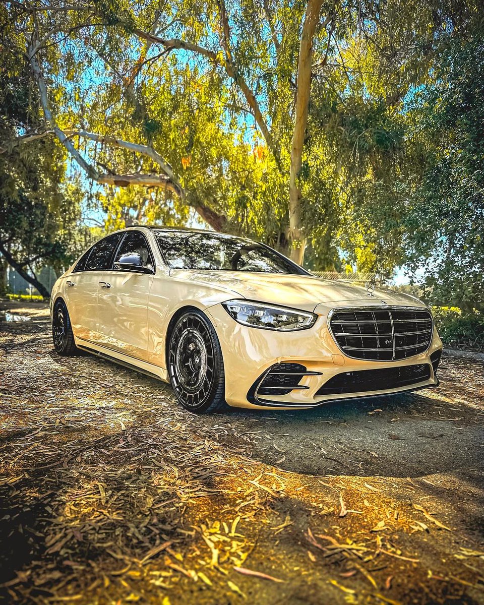 Fact: S-Class, the best selling full-size luxury sedan in the world! 💪

📸: @mngwheel (IG)