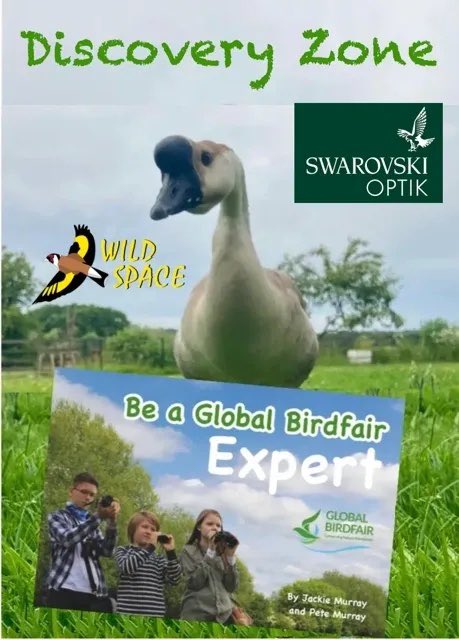 🐣 Welcome to the @SwarovskiOptik Discovery Zone at Global Birdfair 🐥 Hosted by the wonderful @ourwildspace team 👣Guided walks, activities & fun ➡️ globalbirdfair.org/young-visitor-… 🎟️ Under 18s FREE entry with full ticket paying adult. Sunday Family Ticket £22 👉gbf.yourticketpurchase.com/p/globalbirdfa…