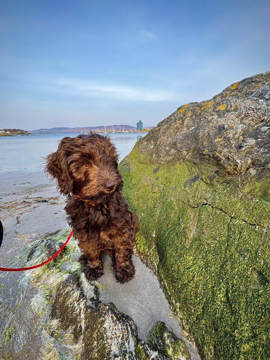 Nice start to the day in #PortEllen #Islay