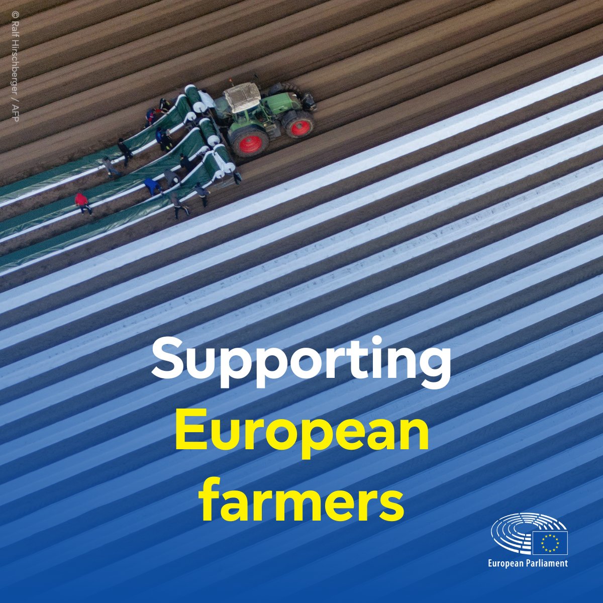 🚜MEPs gave a green light to the common agriculture policy (CAP) review to ease the administrative burden for EU farmers: europarl.europa.eu/news/en/press-…