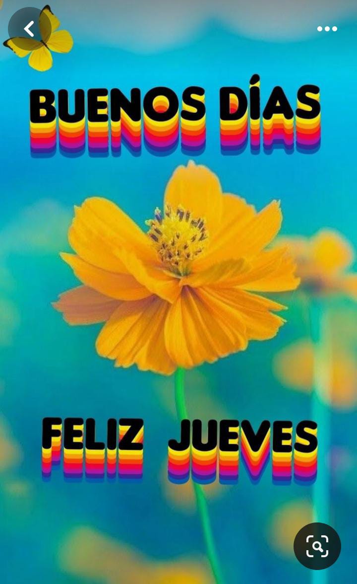 Hola y Muy #BuenosDiasATodos 🌞
Pasen un #FelizJueves 💐
😘🤗💖☁️🥵🫠🔥💥🌈🌊🪴🌲❄️
🏵️💙🧡🌿🏵️💙🧡🌿🏵️💙🧡🌿🏵️💙🧡🌿🏵️💙🧡🌿🏵️💙🧡🌿🏵️💙🧡🌿🏵️💙🧡🌿🏵️💙🧡🌿🏵️💙🧡🌿🏵️💙🧡🌿🏵️💙🧡🌿🏵️💙🧡🌿🏵️💙🧡🌿🏵️💙🧡🌿🏵️💙🧡🌿🏵️