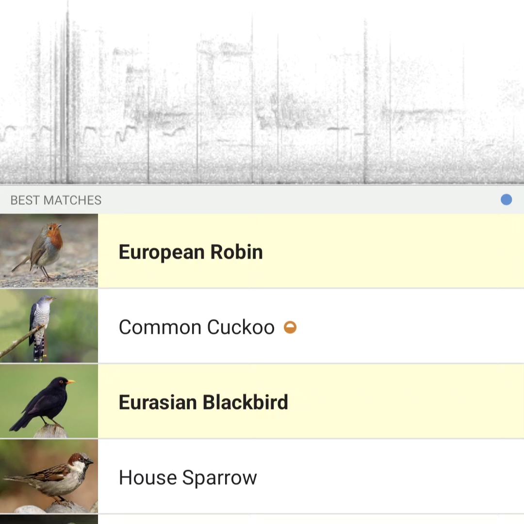 Martin Maudsley tweet media