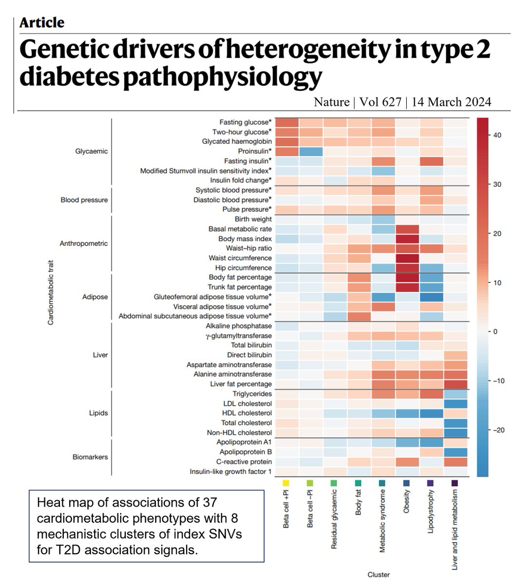 Map of the #genetic determinants of #heterogeneity in #Type2Diabetes, and their relation to #cardiometabolic traits published in #Nature Contributions from #Denmark @Stenodiabetes @Metabolcenter @AarhusUni_int @SyddanskUni @aalborg_uni @koebenhavns_uni pubmed.ncbi.nlm.nih.gov/38374256/