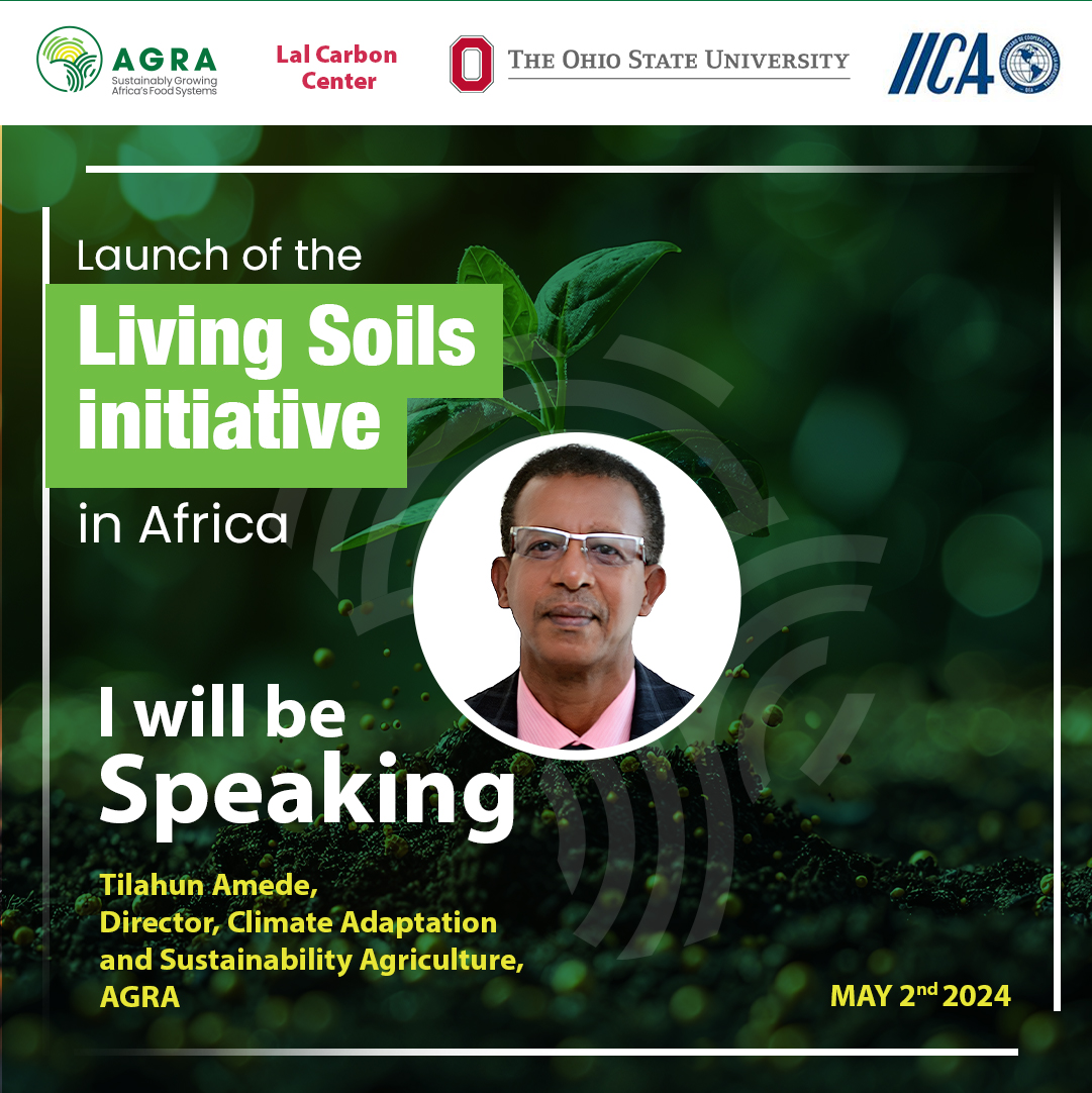 Food Systems | #LivingSoilsInitiative AGRA teams up with the Living Soils Initiative this afternoon to propel the adoption of conservation agriculture practices among farmers. Backed by FAO insights, these practices not only empower farmers economically but also enrich soil…
