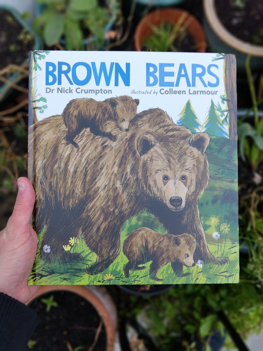 Good morning. My new book, BROWN BEARS, illustrated by Colleen Larmour, is out in shops in the UK today. It's a gentle, lyrical introduction to the bears, following a little family for a year and a half as the cubs grow, & learn 🐻 Published by @BIGPictureBooks @WalkerBooksUK