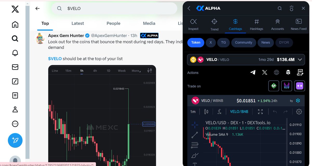 Keeping an eye on coins that bounce back strong during red days 📈 $VELO is shining bright on my radar. Thanks to $XALPHA for the insightful crypto analysis in these challenging market scenarios! 💡 #cryptocurrency #marketanalysis #Resilience