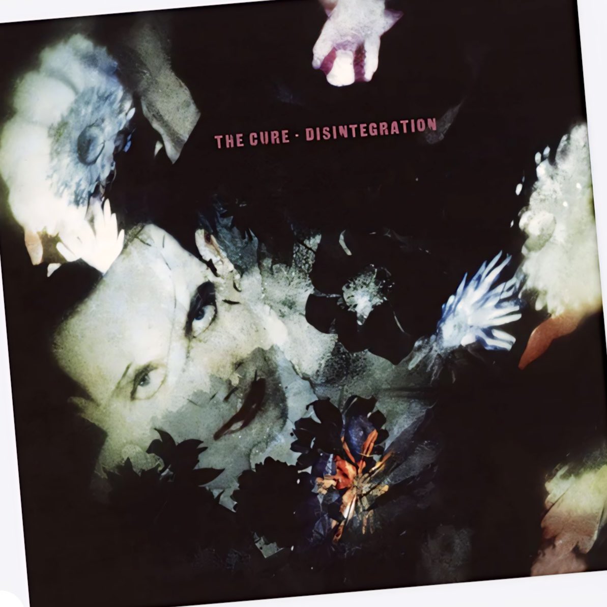 The Cure
Disintegration 

2 May 1989

@NewWaveAndPunk #thecure #80s #music #records #robertsmith #vinylalbum #vinylrecords