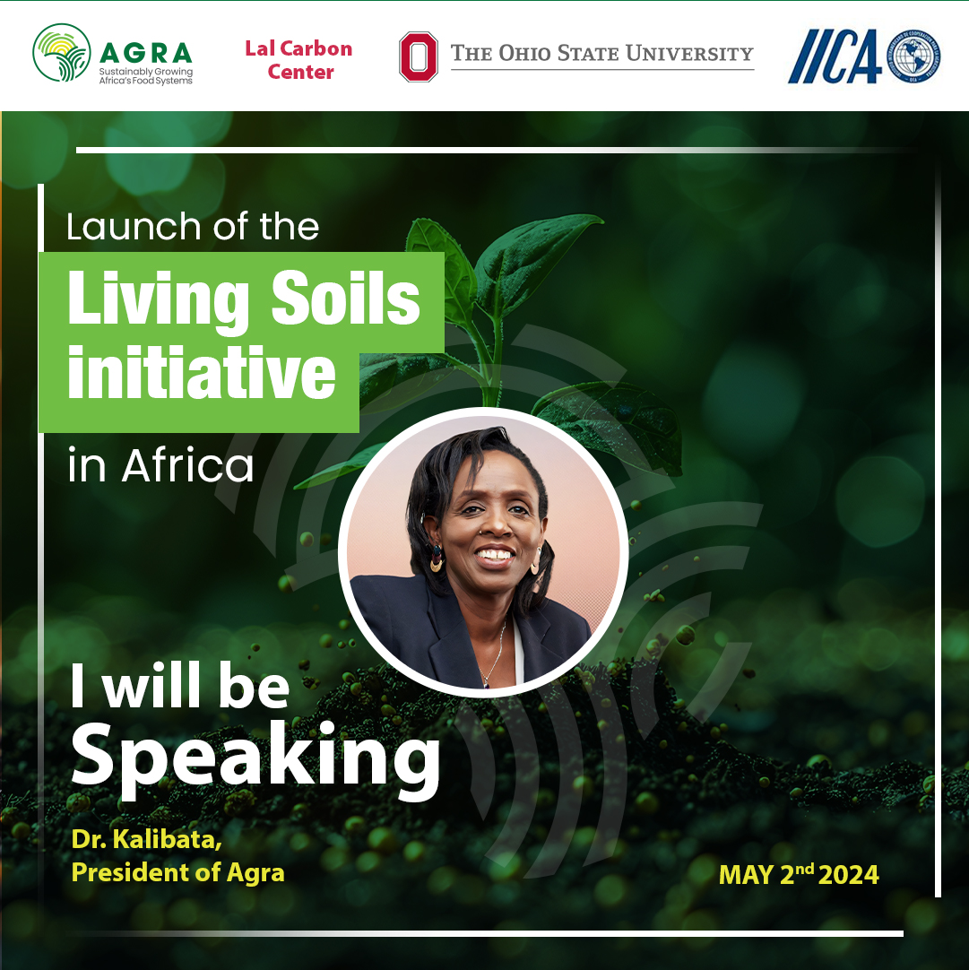 Food Systems | #LivingSoilsInitiative This afternoon, AGRA is happy to collaborate with the Living Soils Initiative whose aim is to accelerate the adoption of conservation agriculture practices by farmers. According to the FAO, these type of agricultural practices bring…